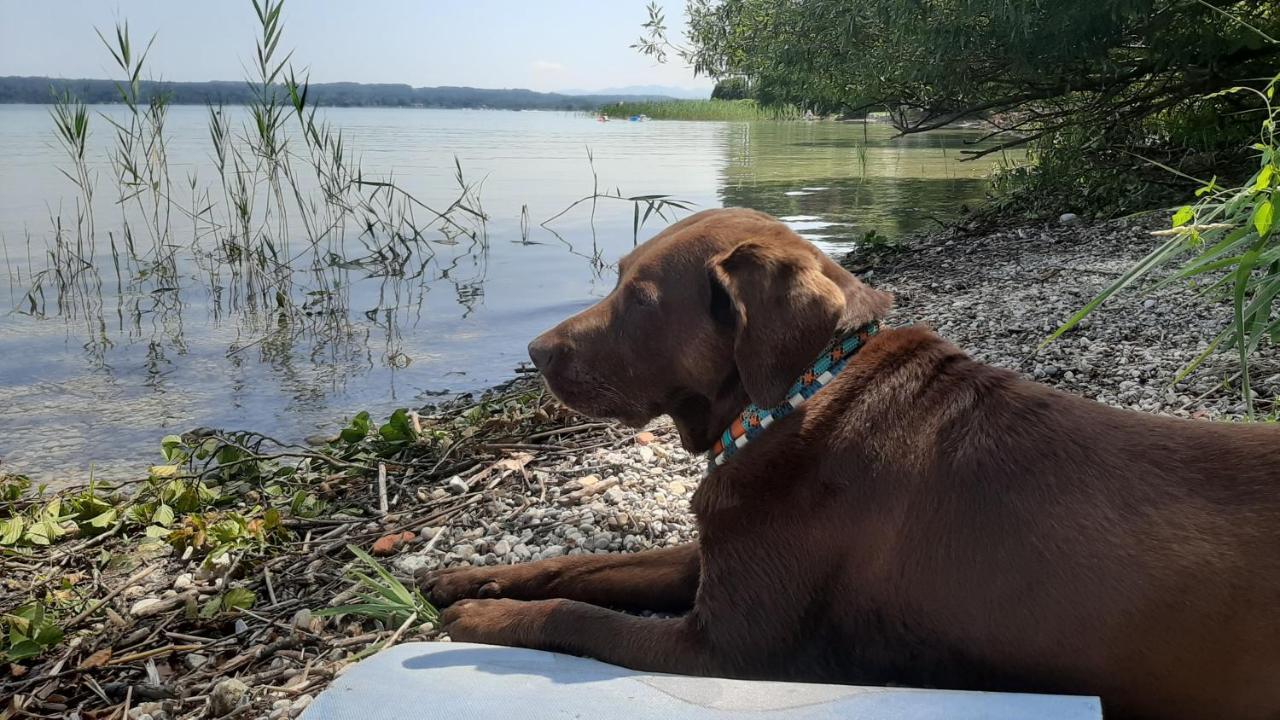 Kultur, Berge, Seen, Moor - Das Lebensglueck Murnau am Staffelsee Exteriör bild